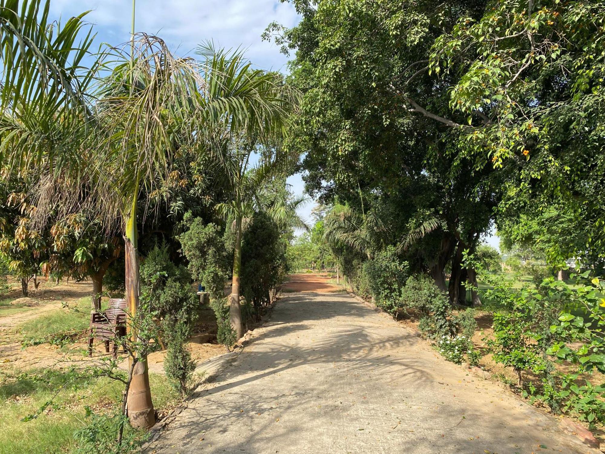 Orchard At Sarai Villa Gurgaon Eksteriør bilde